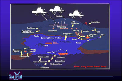 Marina Image Slide Show