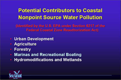 Marina Image Slide Show