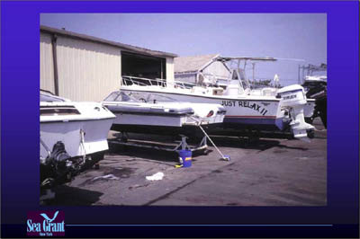 Marina Image Slide Show