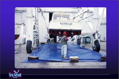 Marina Image Slide Show