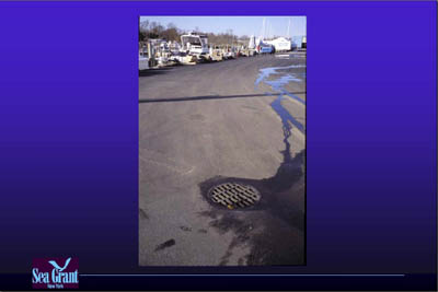 Marina Image Slide Show