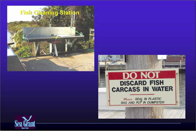 Marina Image Slide Show