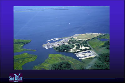 Marina Image Slide Show